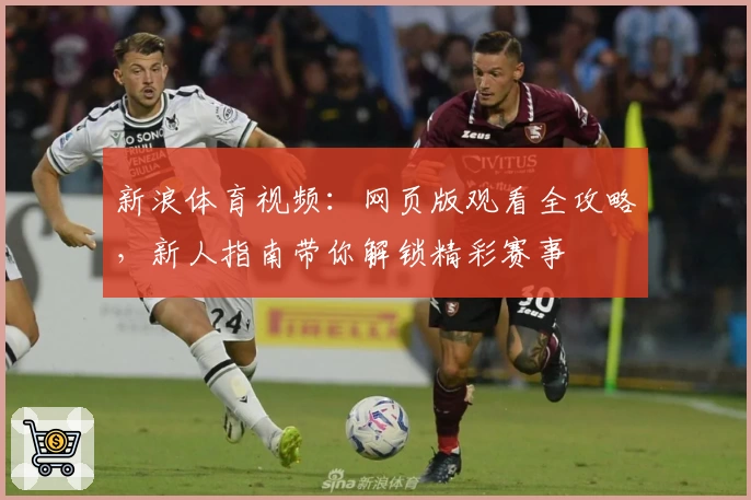 新浪体育视频：网页版观看全攻略，新人指南带你解锁精彩赛事