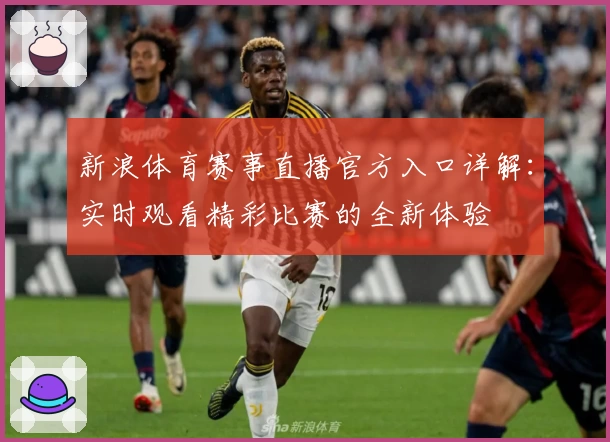 新浪体育赛事直播官方入口详解：实时观看精彩比赛的全新体验