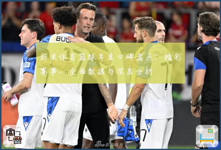 新浪体育篮球年度口碑盘点:精彩赛事、全面数据与深度分析