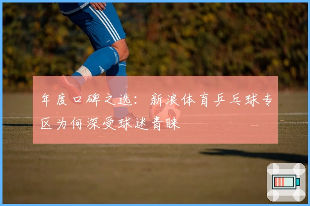 年度口碑之选：新浪体育乒乓球专区为何深受球迷青睐