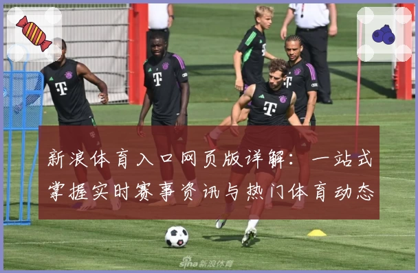 新浪体育入口网页版详解：一站式掌握实时赛事资讯与热门体育动态