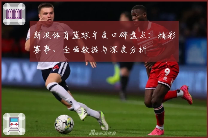 新浪体育篮球年度口碑盘点：精彩赛事、全面数据与深度分析