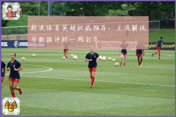 新浪体育英超权威推荐，主流解说与数据评析一网打尽