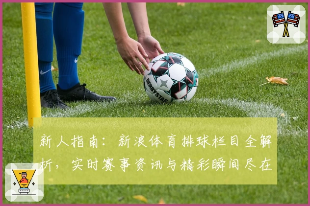 新人指南：新浪体育排球栏目全解析，实时赛事资讯与精彩瞬间尽在掌握