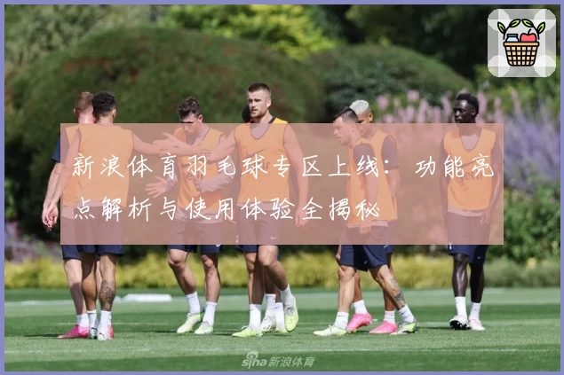 新浪体育羽毛球专区上线：功能亮点解析与使用体验全揭秘