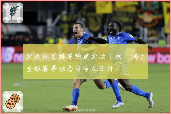 新浪体育排球频道新版上线，揭示全球赛事动态与专业测评