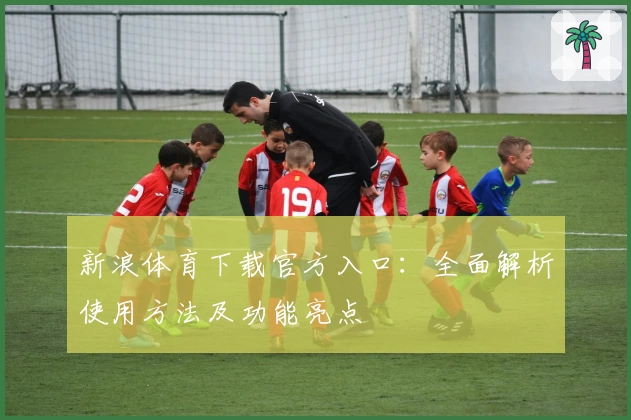 新浪体育下载官方入口：全面解析使用方法及功能亮点