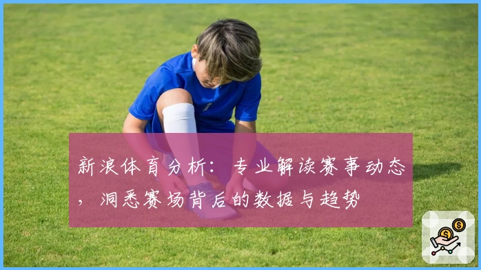 新浪体育分析：专业解读赛事动态，洞悉赛场背后的数据与趋势