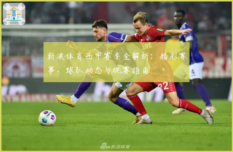 新浪体育西甲赛季全解析：精彩赛事、球队动态与观赛指南