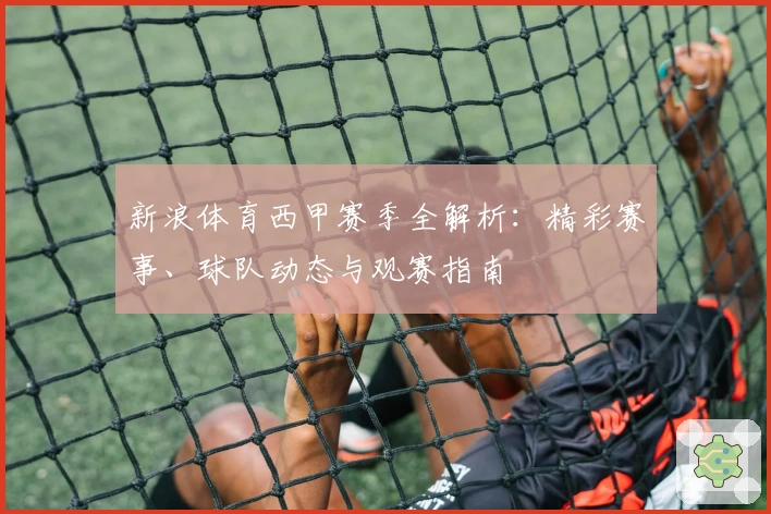 新浪体育西甲赛季全解析：精彩赛事、球队动态与观赛指南