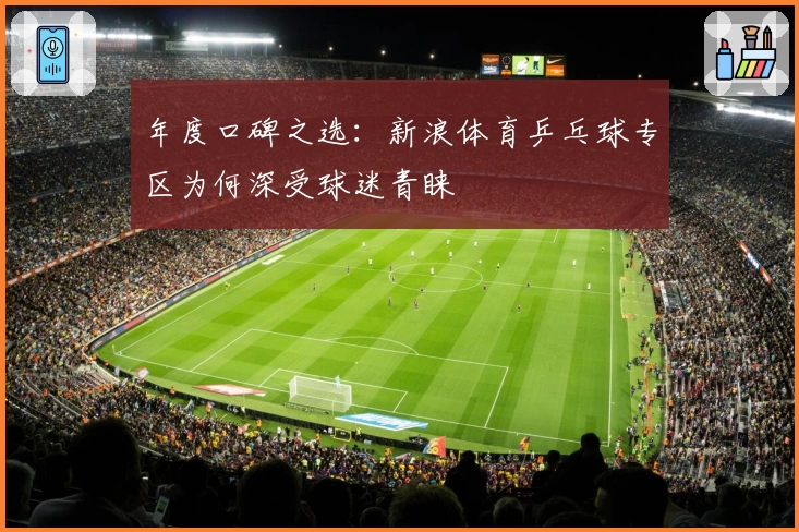 年度口碑之选：新浪体育乒乓球专区为何深受球迷青睐