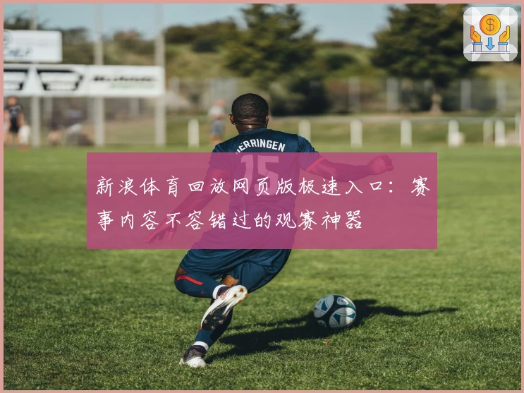 新浪体育回放网页版极速入口：赛事内容不容错过的观赛神器