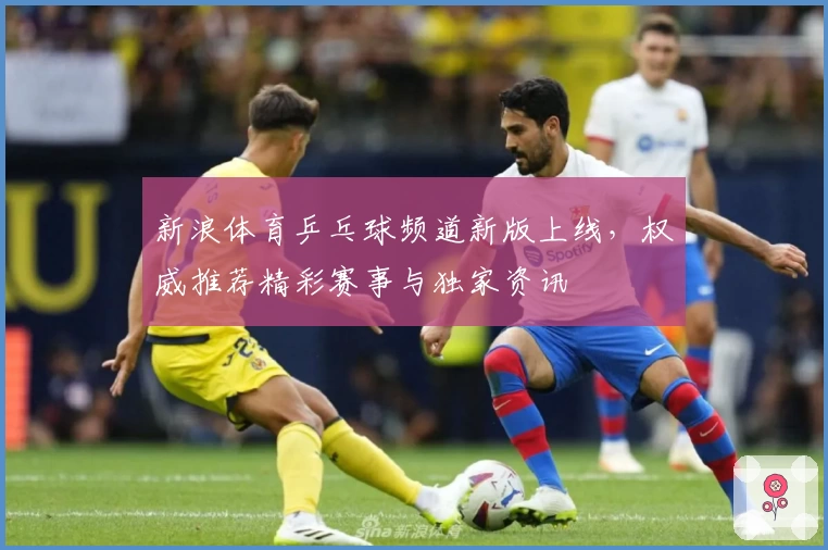 新浪体育乒乓球频道新版上线，权威推荐精彩赛事与独家资讯