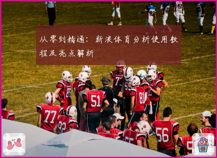 从零到精通：新浪体育分析使用教程及亮点解析