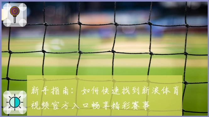 新手指南：如何快速找到新浪体育视频官方入口畅享精彩赛事